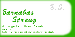 barnabas streng business card